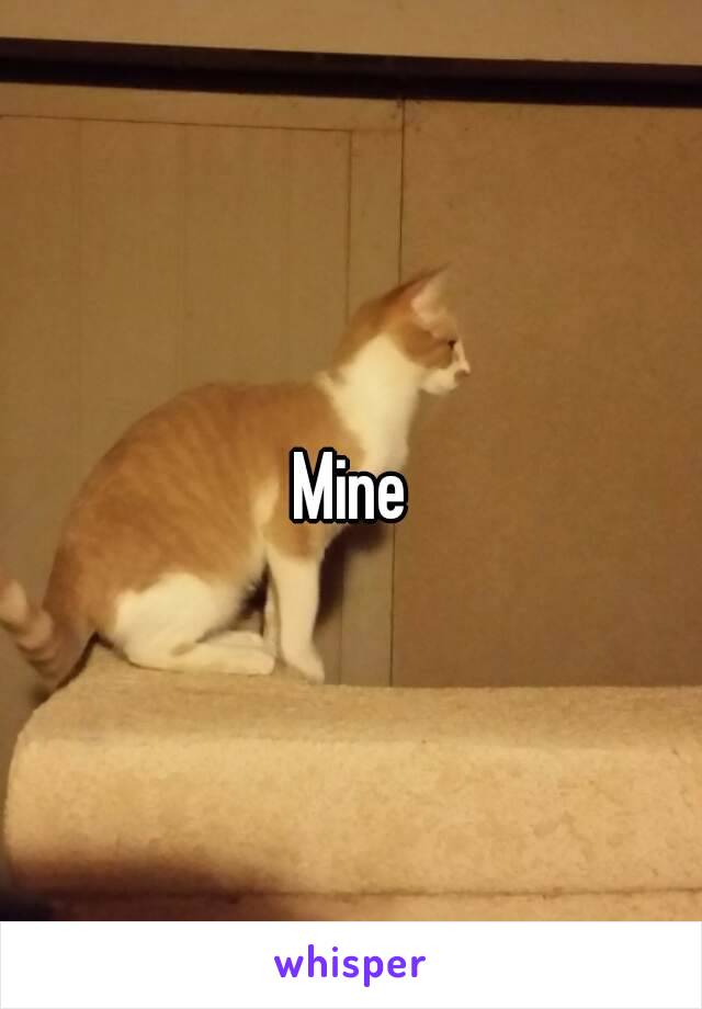 Mine