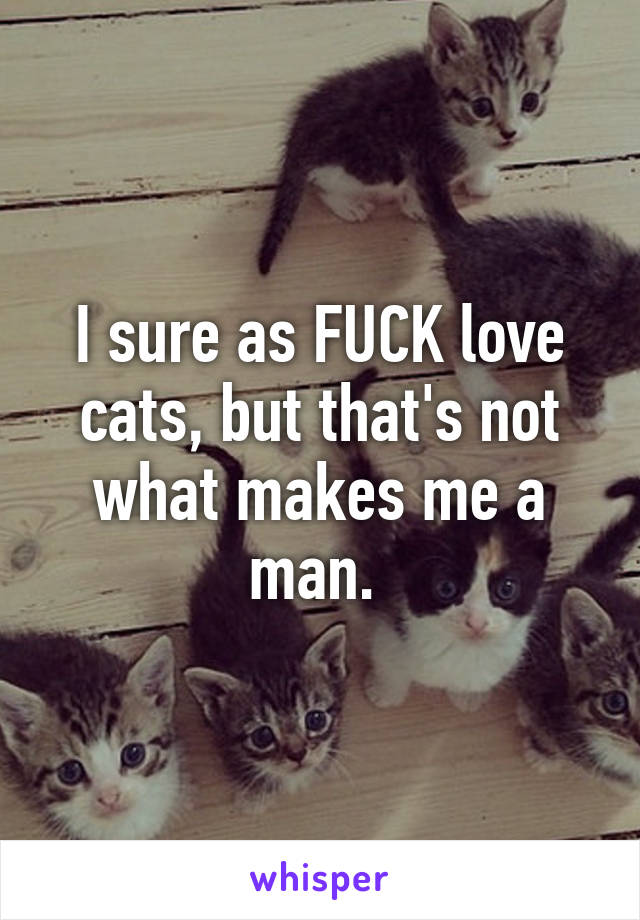 I sure as FUCK love cats, but that's not what makes me a man. 