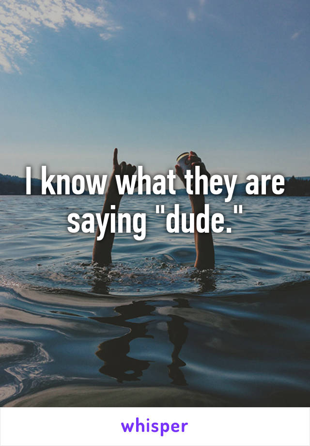 I know what they are saying "dude."
