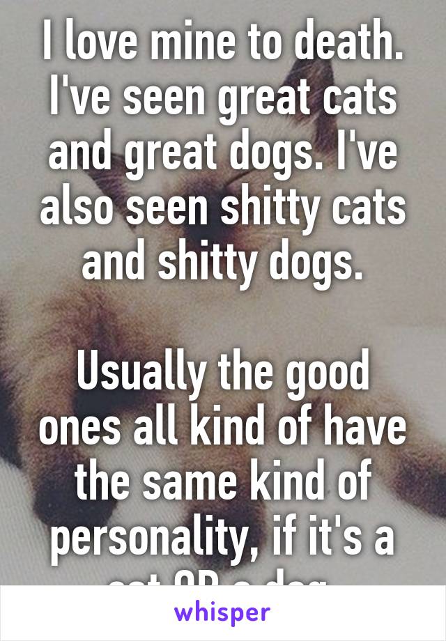 I love mine to death. I've seen great cats and great dogs. I've also seen shitty cats and shitty dogs.

Usually the good ones all kind of have the same kind of personality, if it's a cat OR a dog.