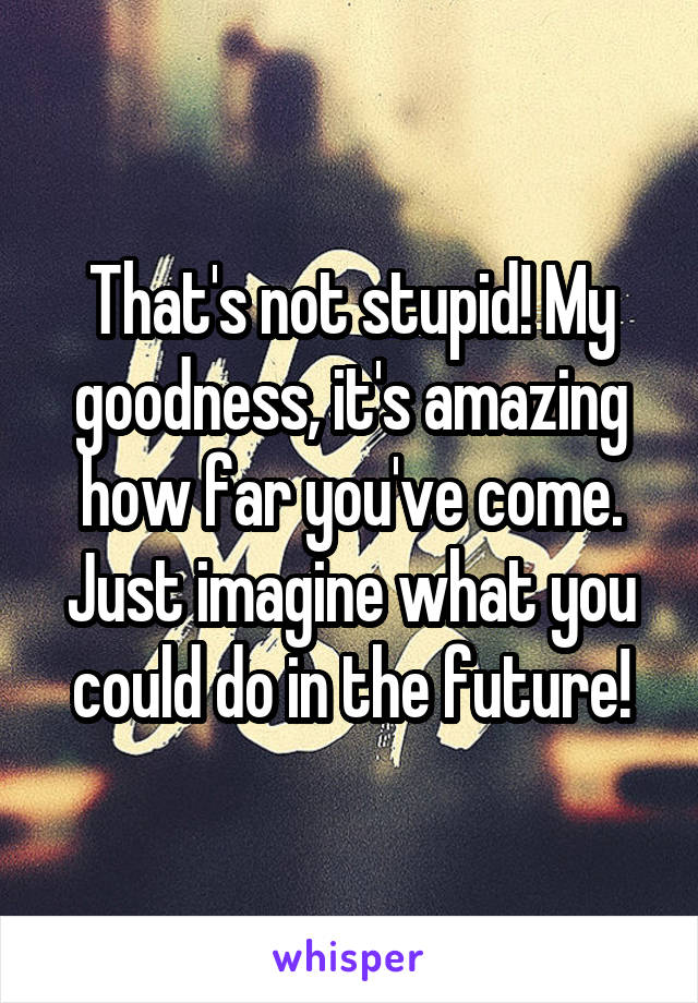 That's not stupid! My goodness, it's amazing how far you've come. Just imagine what you could do in the future!
