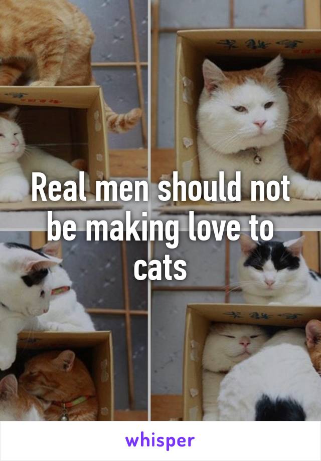 Real men should not be making love to cats