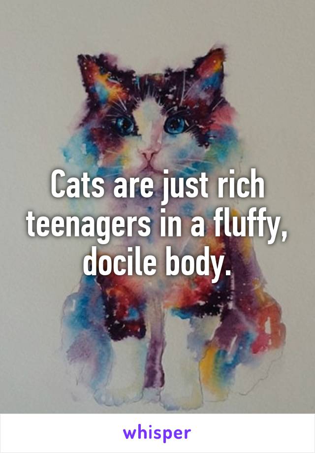 Cats are just rich teenagers in a fluffy, docile body.