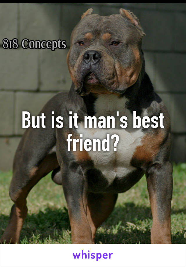 But is it man's best friend?