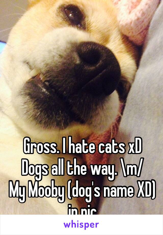 Gross. I hate cats xD 
Dogs all the way. \m/
My Mooby (dog's name XD) in pic 