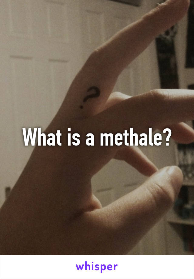 What is a methale?