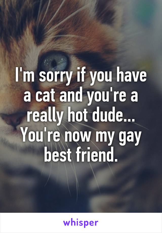 I'm sorry if you have a cat and you're a really hot dude... You're now my gay best friend.