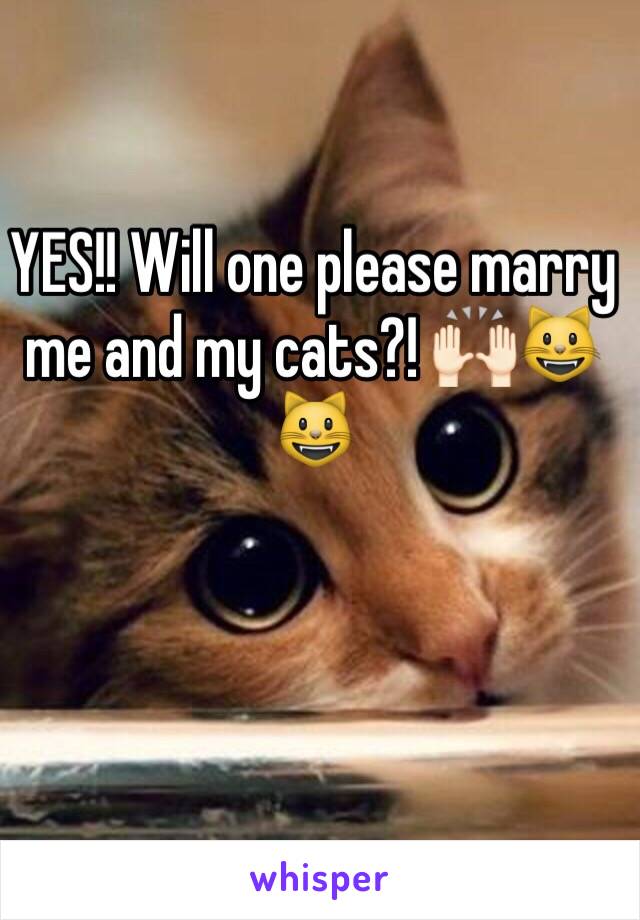 YES!! Will one please marry me and my cats?! 🙌🏻😺😺