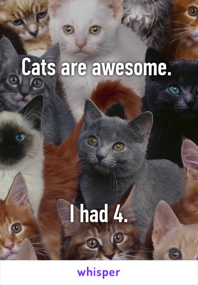 Cats are awesome. 





I had 4.