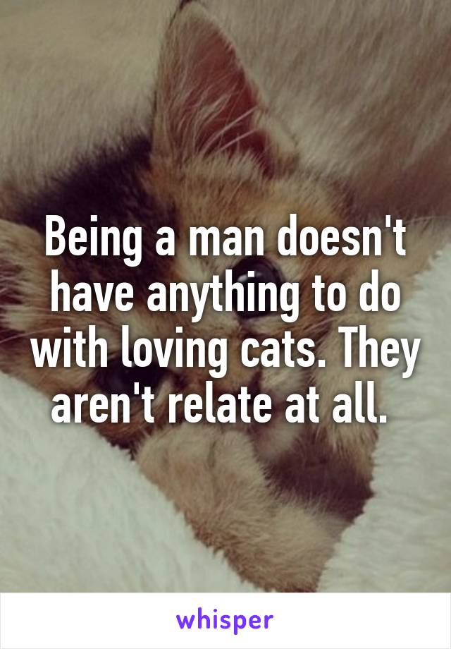 Being a man doesn't have anything to do with loving cats. They aren't relate at all. 