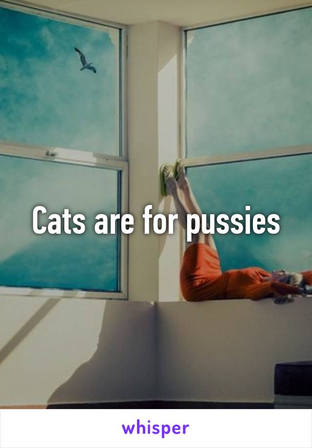 Cats are for pussies