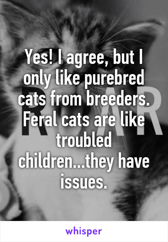 Yes! I agree, but I only like purebred cats from breeders. Feral cats are like troubled children...they have issues.