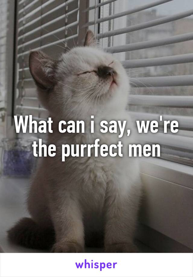 What can i say, we're the purrfect men