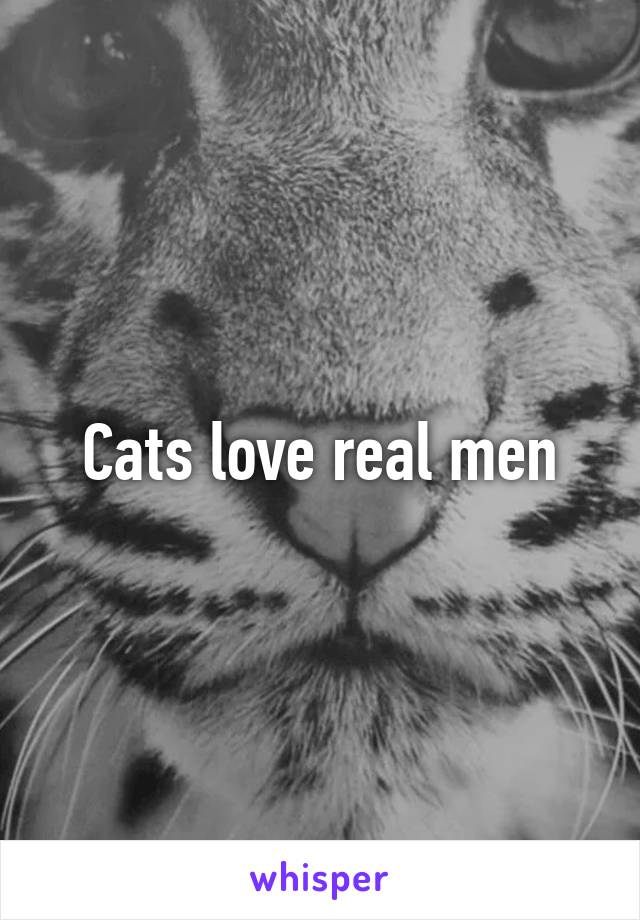 Cats love real men