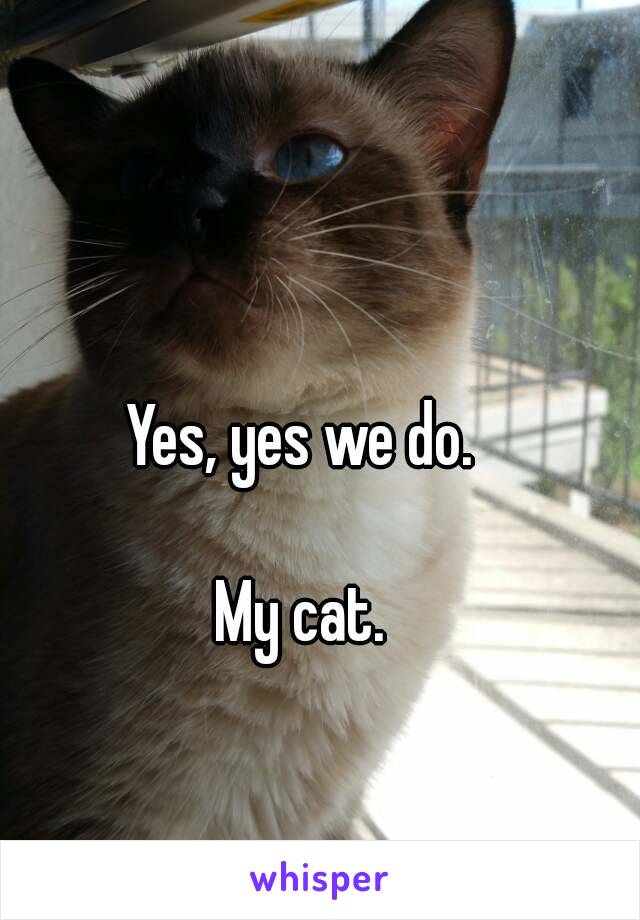 Yes, yes we do.

My cat.