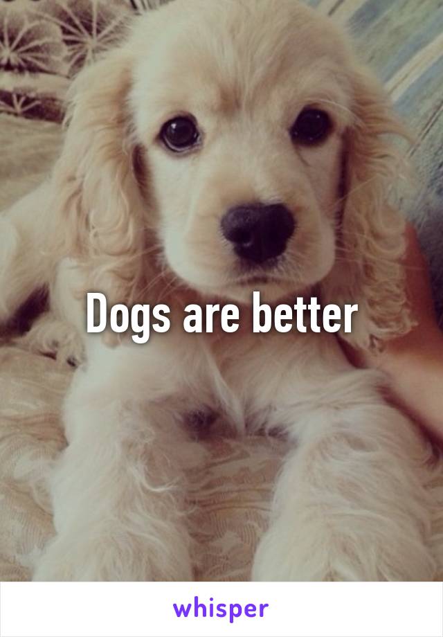 Dogs are better