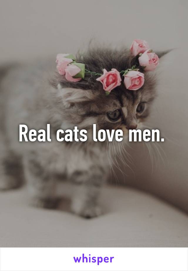 Real cats love men. 