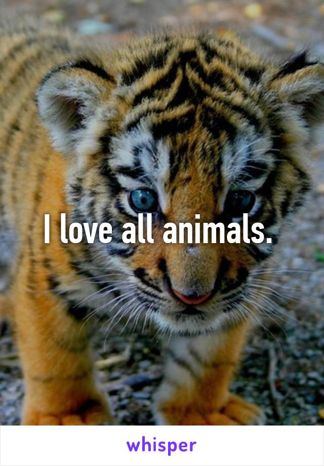 I love all animals. 