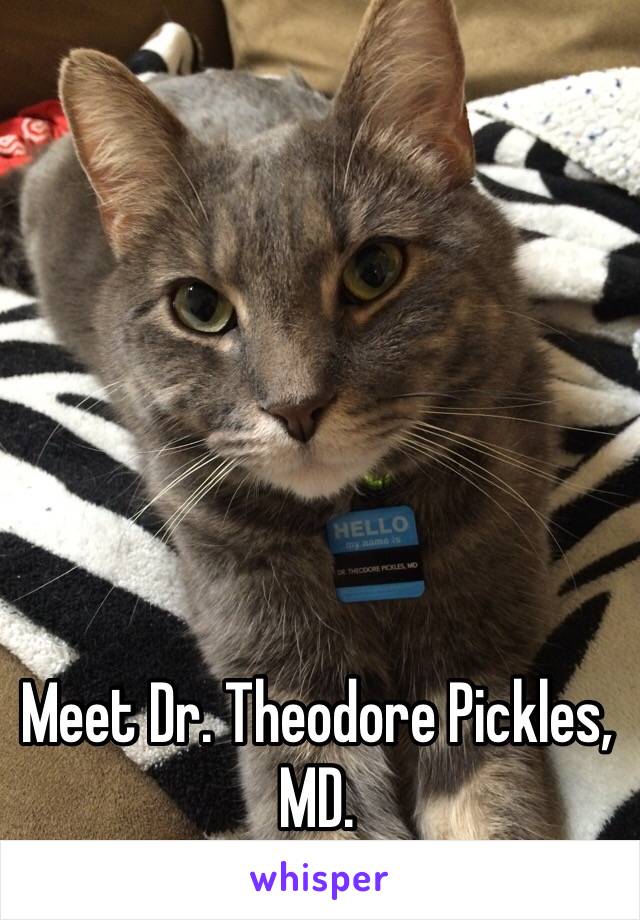 Meet Dr. Theodore Pickles, MD.