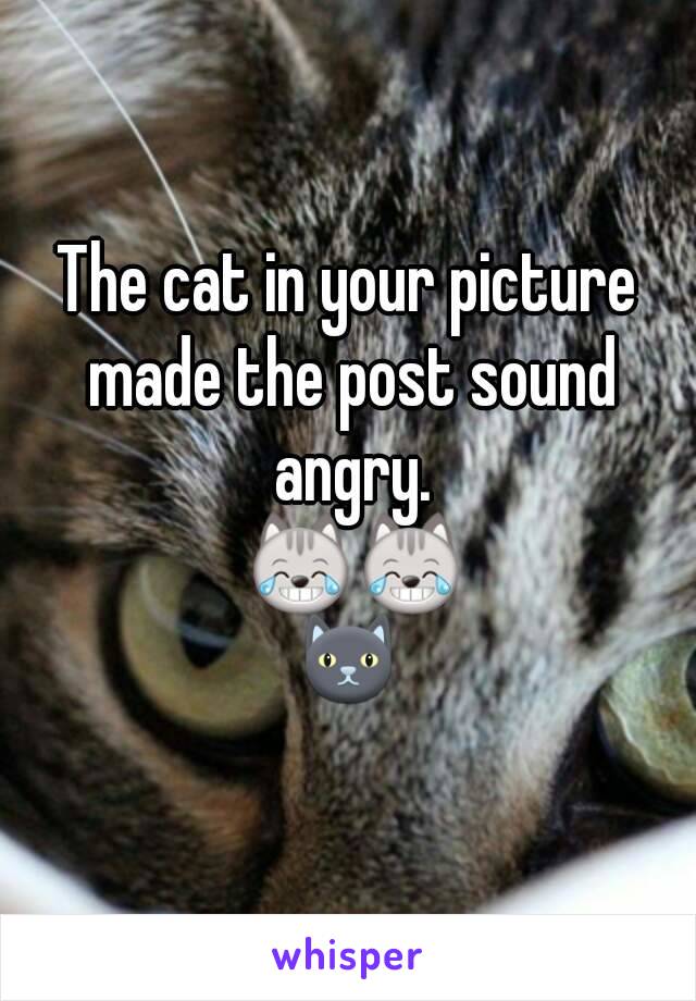 The cat in your picture made the post sound angry.
 😹😹
🐱