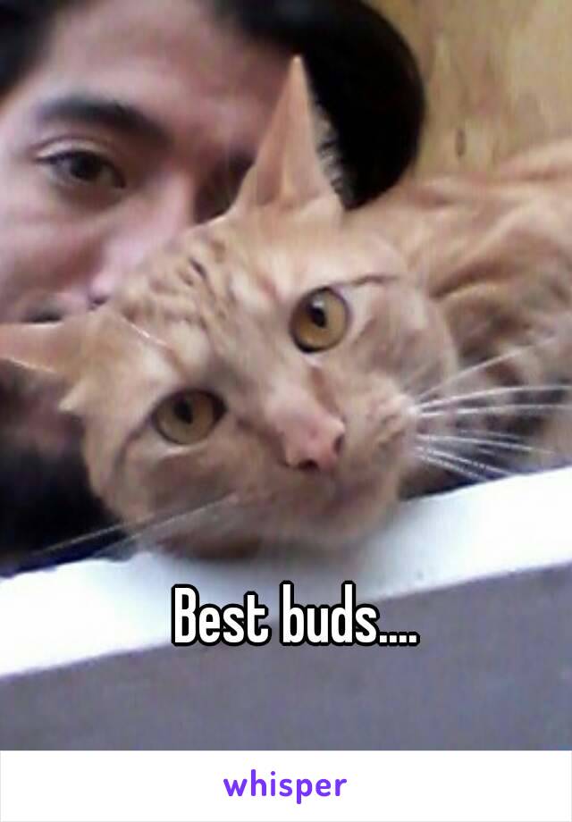 Best buds....