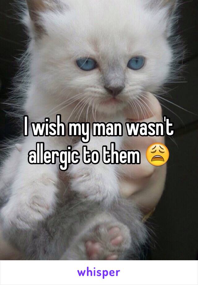 I wish my man wasn't allergic to them 😩