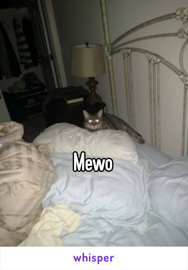 Mewo