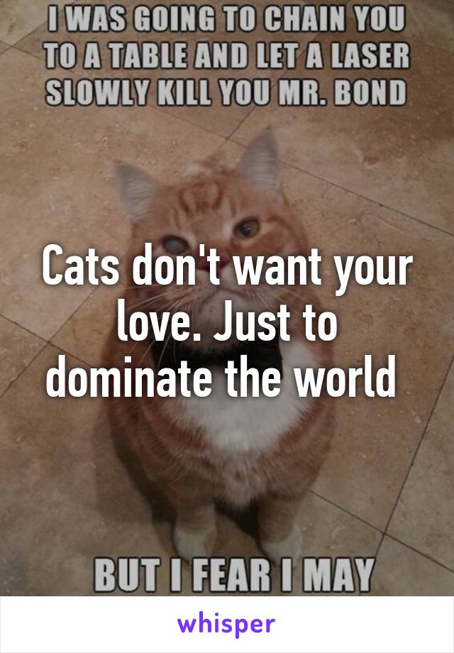 Cats don't want your love. Just to dominate the world 