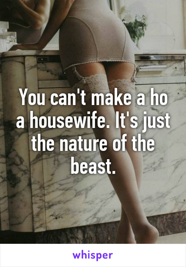 You can't make a ho a housewife. It's just the nature of the beast.