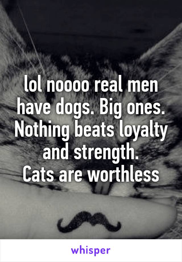 lol noooo real men have dogs. Big ones. Nothing beats loyalty and strength.
Cats are worthless