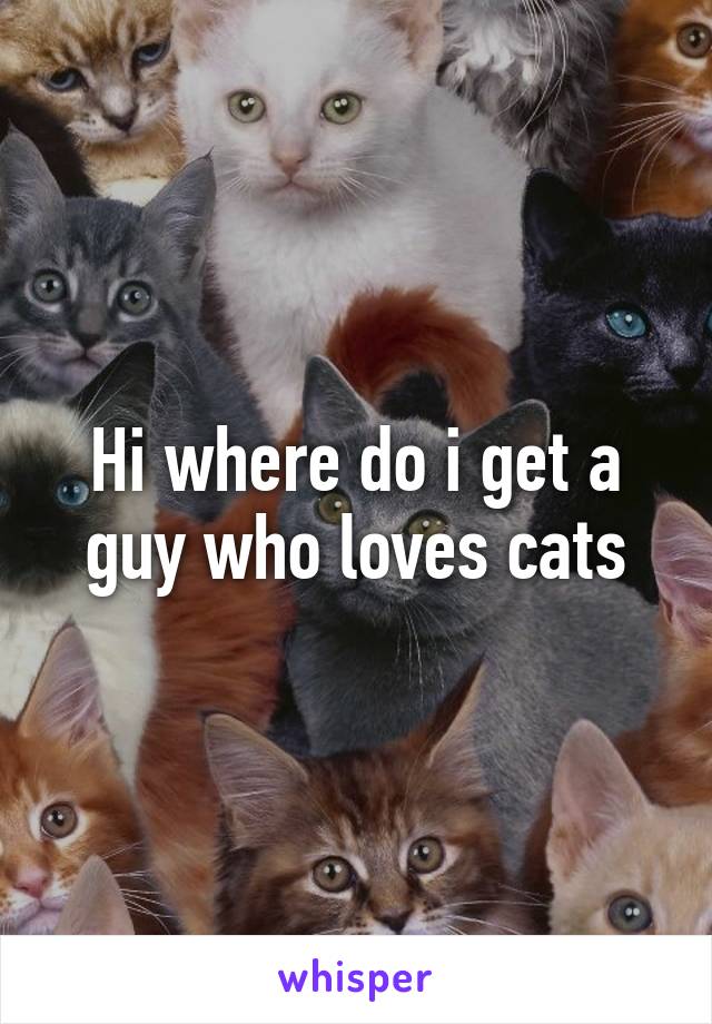 Hi where do i get a guy who loves cats