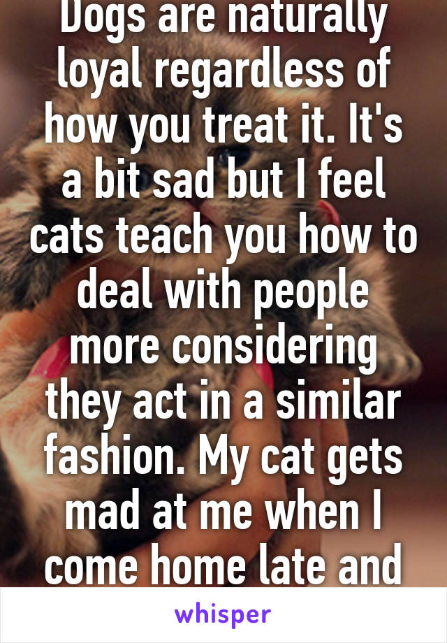 Dogs are naturally loyal regardless of how you treat it. It's a bit sad but I feel cats teach you how to deal with people more considering they act in a similar fashion. My cat gets mad at me when I come home late and avoids me.