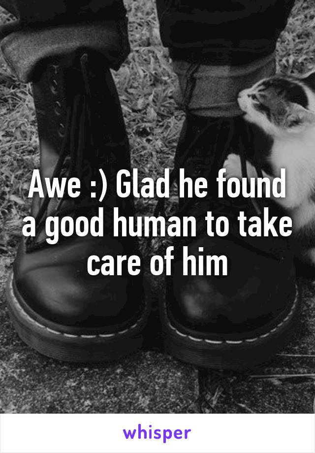 Awe :) Glad he found a good human to take care of him