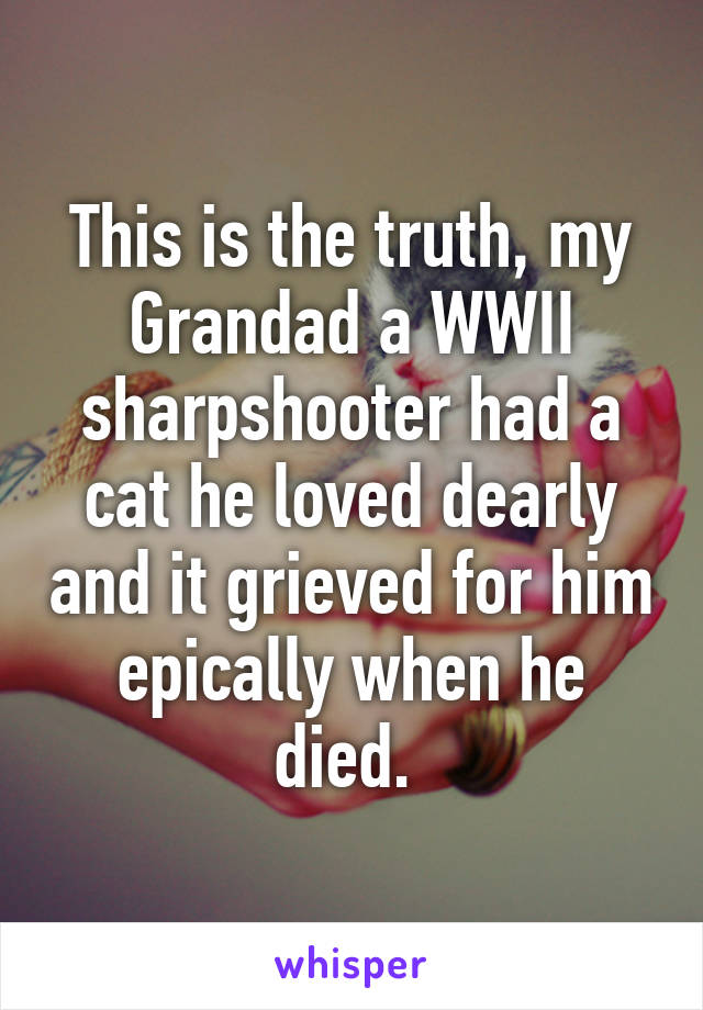 This is the truth, my Grandad a WWII sharpshooter had a cat he loved dearly and it grieved for him epically when he died. 