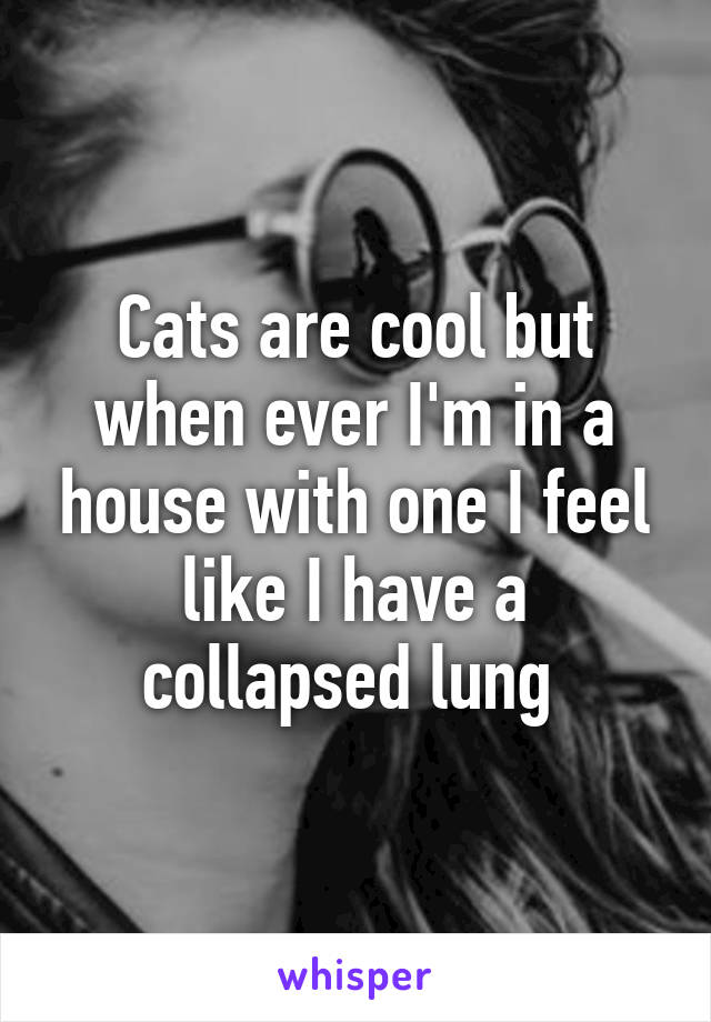 Cats are cool but when ever I'm in a house with one I feel like I have a collapsed lung 