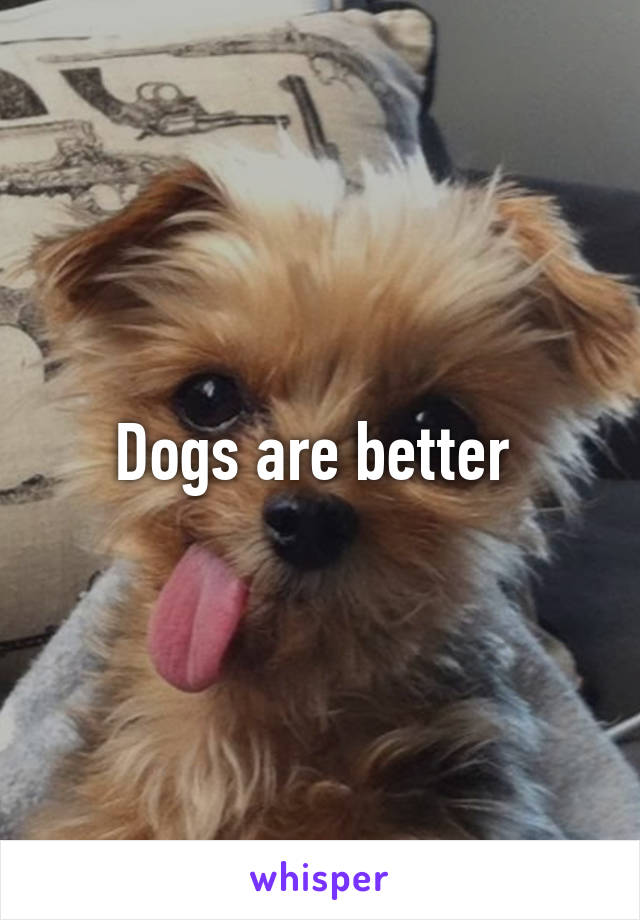 Dogs are better 