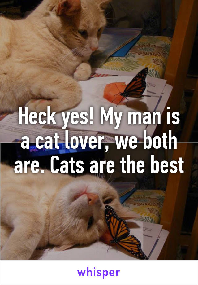 Heck yes! My man is a cat lover, we both are. Cats are the best