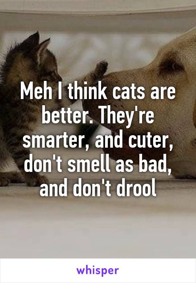 Meh I think cats are better. They're smarter, and cuter, don't smell as bad, and don't drool