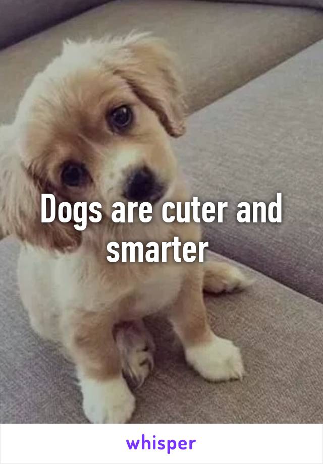 Dogs are cuter and smarter 