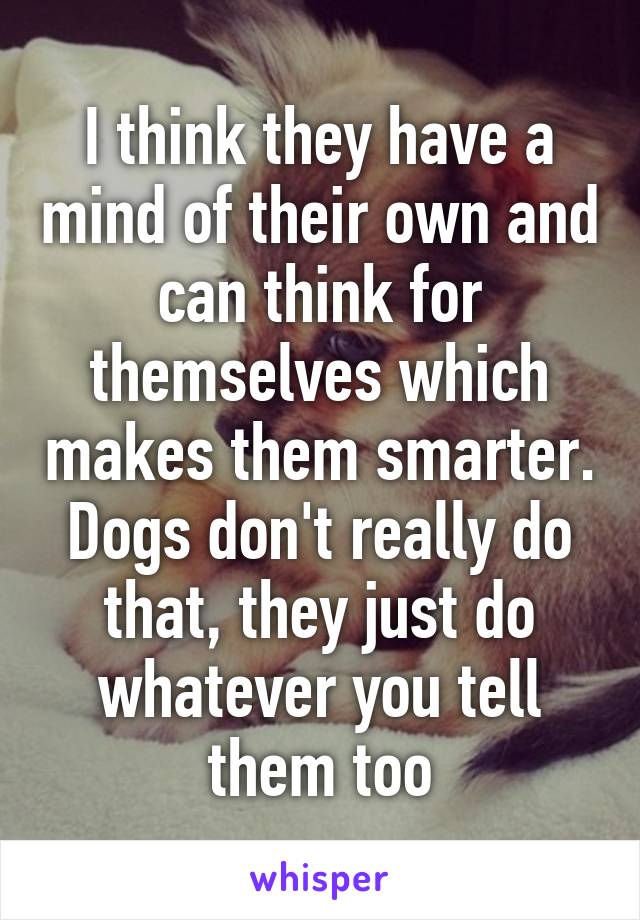 I think they have a mind of their own and can think for themselves which makes them smarter. Dogs don't really do that, they just do whatever you tell them too