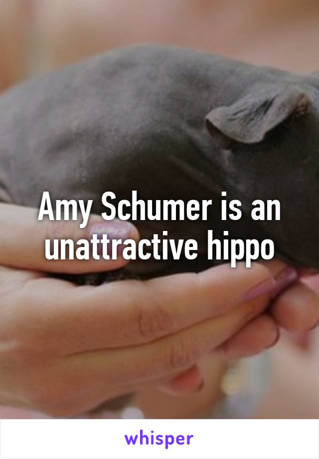 Amy Schumer is an unattractive hippo