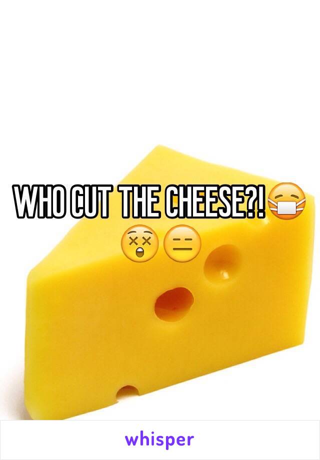 WHO CUT THE CHEESE?!😷😲😑