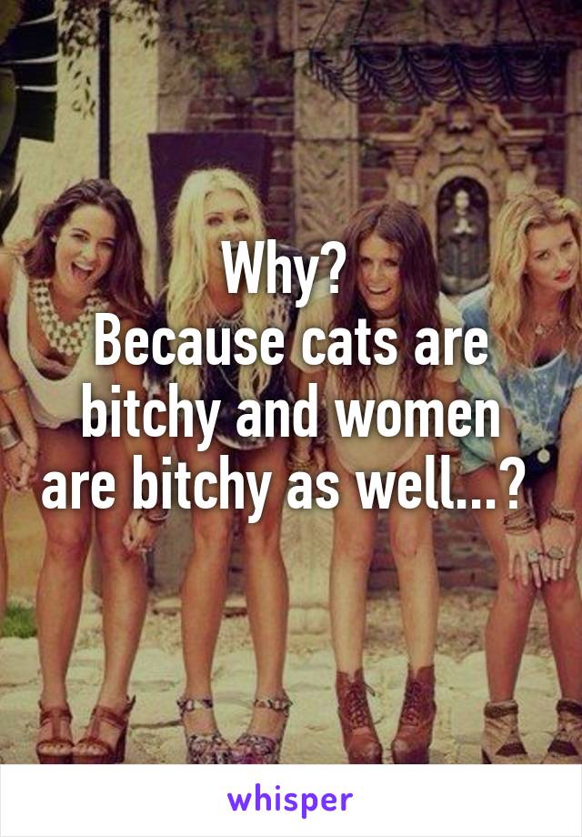 Why? 
Because cats are bitchy and women are bitchy as well...? 
