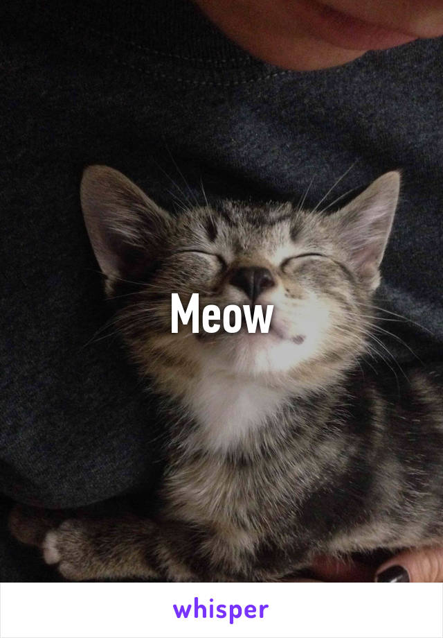 Meow