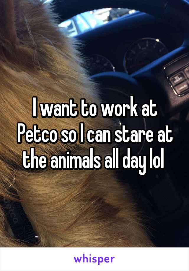 I want to work at Petco so I can stare at the animals all day lol 