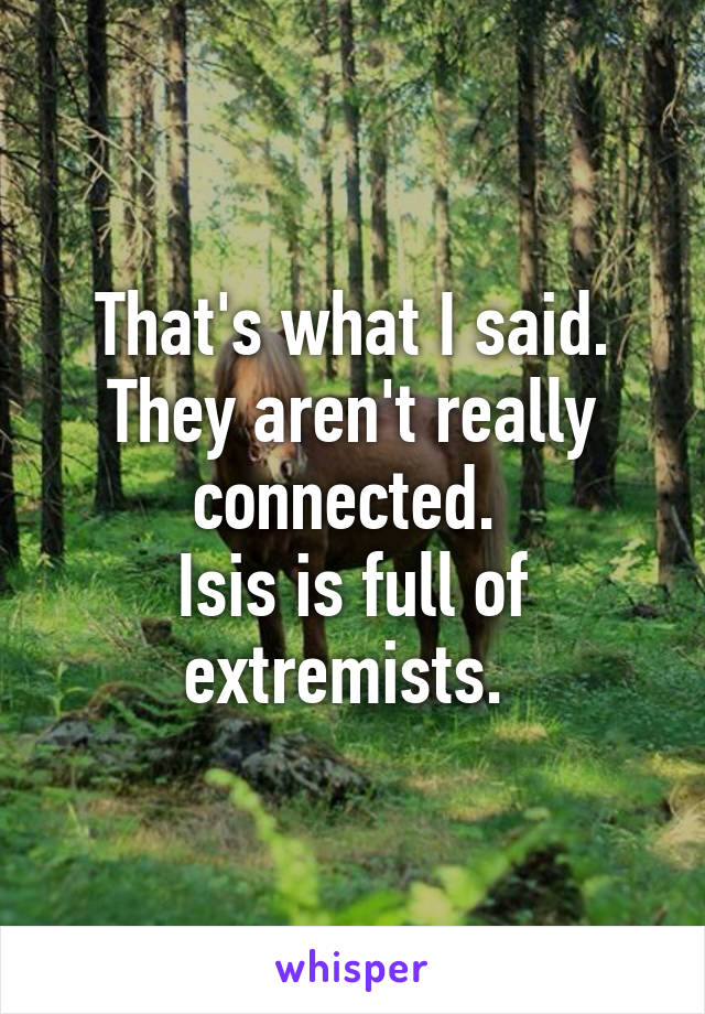 That's what I said.
They aren't really connected. 
Isis is full of extremists. 