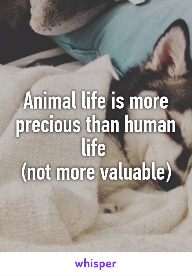 Animal life is more precious than human life 
(not more valuable)