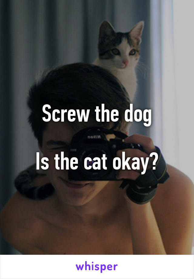 Screw the dog

Is the cat okay?