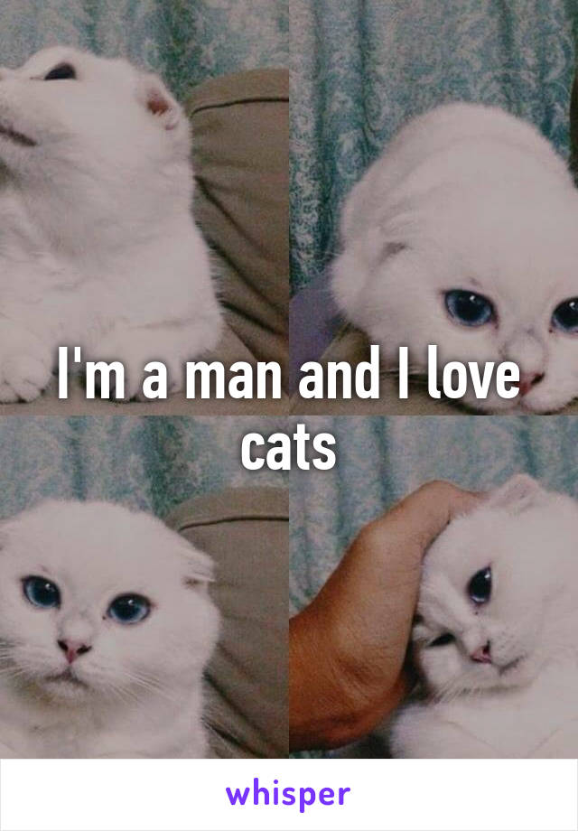 I'm a man and I love cats