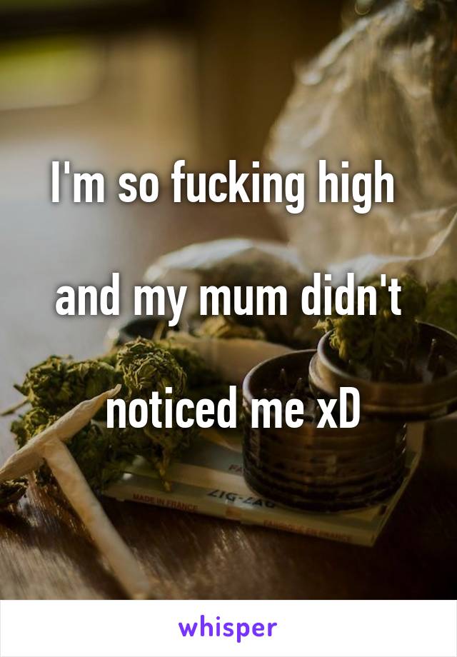 I'm so fucking high 

and my mum didn't

 noticed me xD
